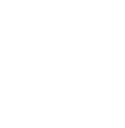 Local Hive company logo