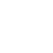 Executive Platforms company logo
