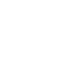 Brainlabs company logo
