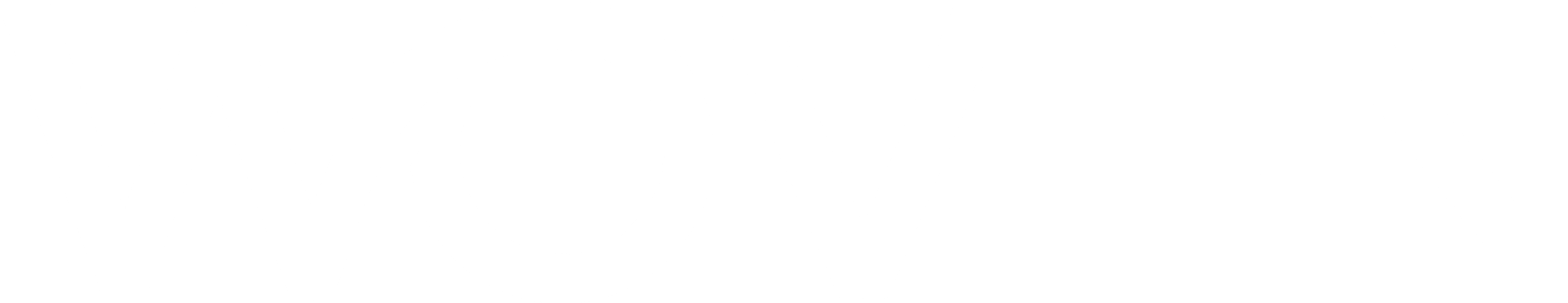 Woven Solutions company logo
